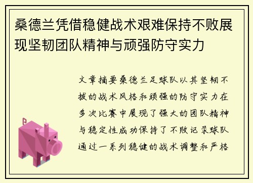 桑德兰凭借稳健战术艰难保持不败展现坚韧团队精神与顽强防守实力